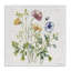 Wild Botanical Bundle Canvas, design par Nicole DeCamp-556322967