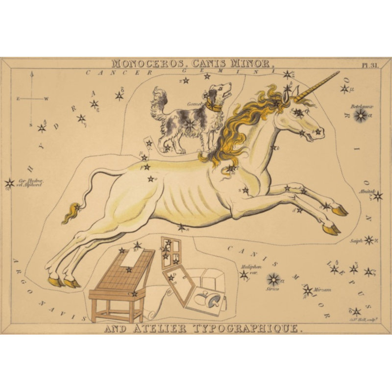 Monoceros Print by Grand Archives, Black Framed, 22" H x 31" W