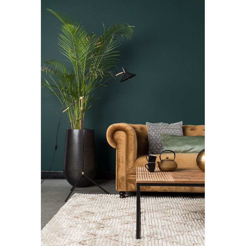 Randi Solid Wood Coffee Table