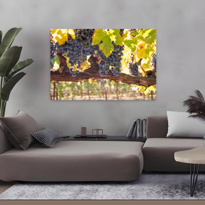 Close-Up Of Grapes In A Vineyard Napa Napa County California Usa Abstract Contemporary Landscape Nature Art