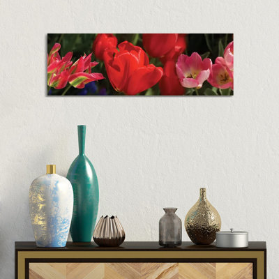 Close-Up Of Red Tulip Flowers IV - Wrapped Canvas Panoramic Print