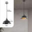 Reichenbach 1 - Light Black Dome Pendant