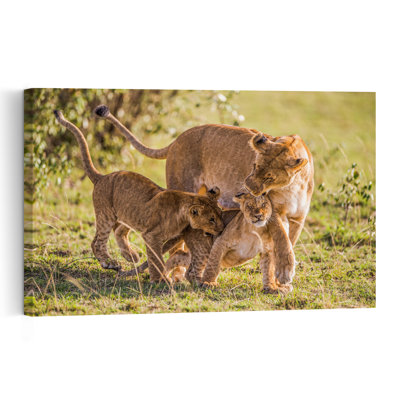 Tender Lion Family Contemporary Cat Lion Nature Wildlife Wall Art Print 1 Piece Wrapped Canvas Wall Art