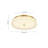 Galaxy-Like Dimmable LED Flush Mount