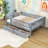 Ormond Daybed with Dual Drawers and Slats-516140780-516140776