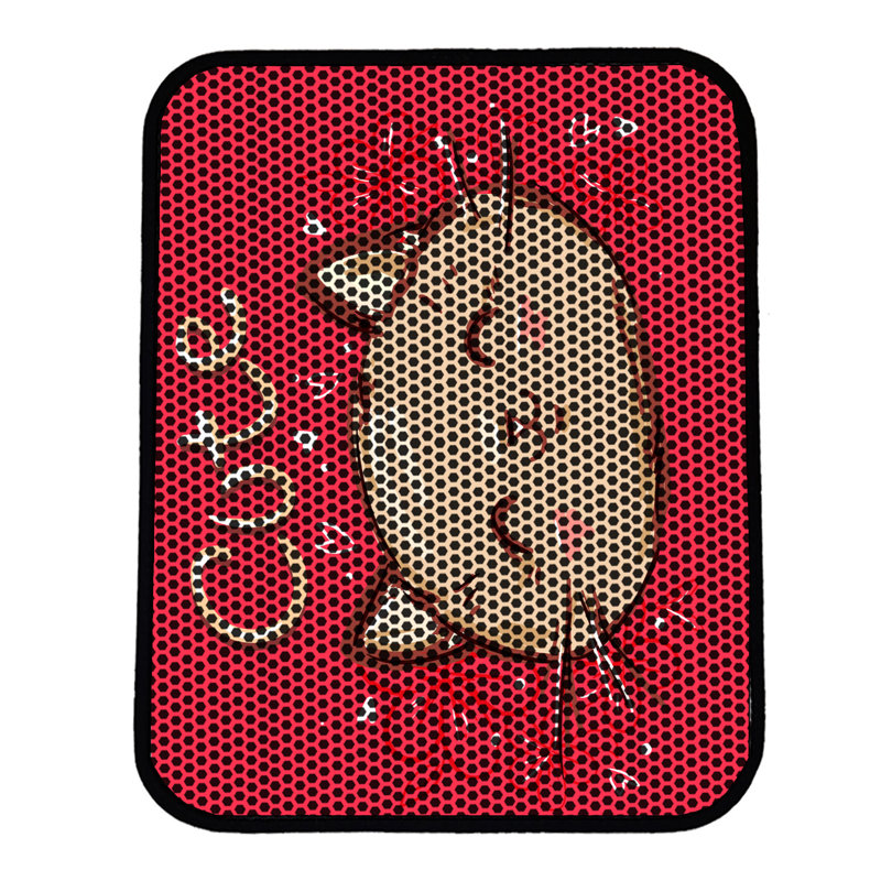 Premium Cat Litter Mat, 18 x 24 inches | 50% PVC / 50% Polyester, Machine Washable & Vacuum Friendly | Durable, Easy-Clean Design for Pet Owners | Protect Your Floors from Litter Messes