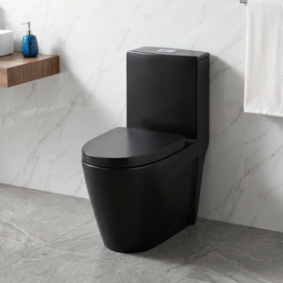 Toilette allongée une pièce classique à double chasse avec jupe et siège à fermeture en douceur Classic
