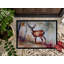 Lorra Non-Slip Doormat-569914131