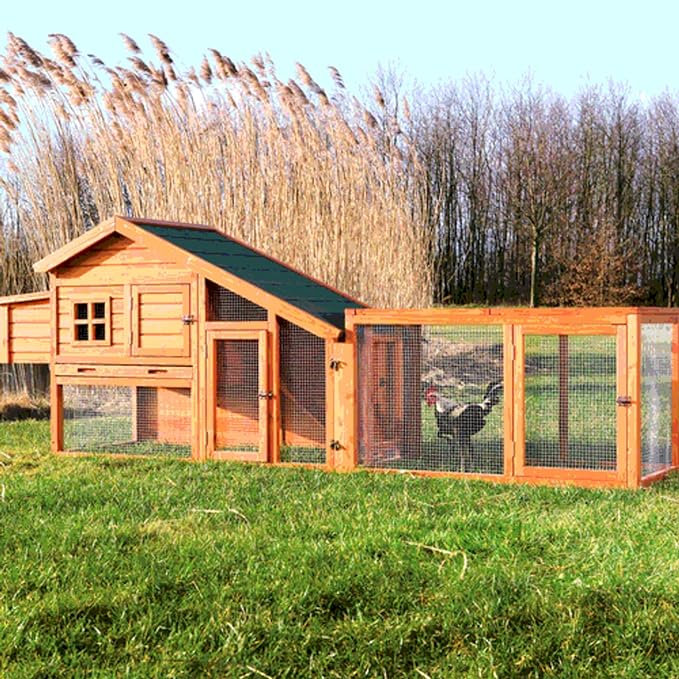 Ezria Chicken Coop with Chicken Run