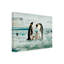 Angeles M. Pomata, famille de manchots empereurs sur toile-1162573542
