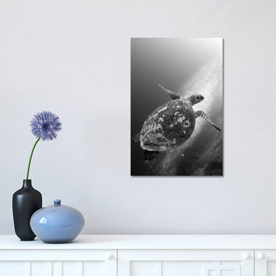 Hawksbill Turtle Ascending Against A Colony Of Bubbles by Steve Jones - Wrapped Canvas Print