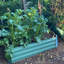 Ketan Metal Raised Garden Bed
