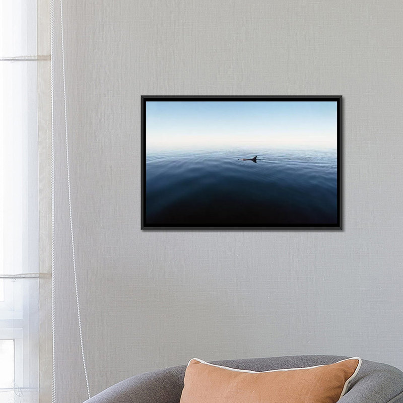 " Bottlenose Dolphin Surfacing, Shark Bay, Australia " by Flip Nicklin, 18" H x 26" W x 1.5" D, Black Framed Canvas, No Mat
