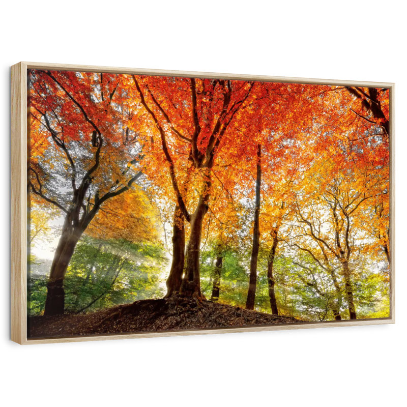 Prisme de la lumière, Cadre flottant en bois naturel, 13 po x 9 po