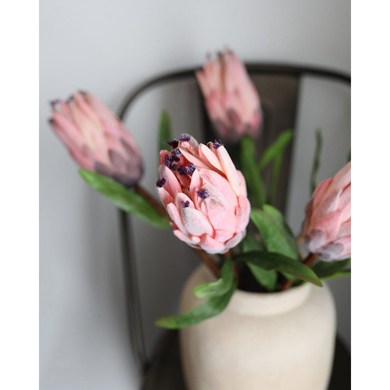 Pink Mink Protea 29"