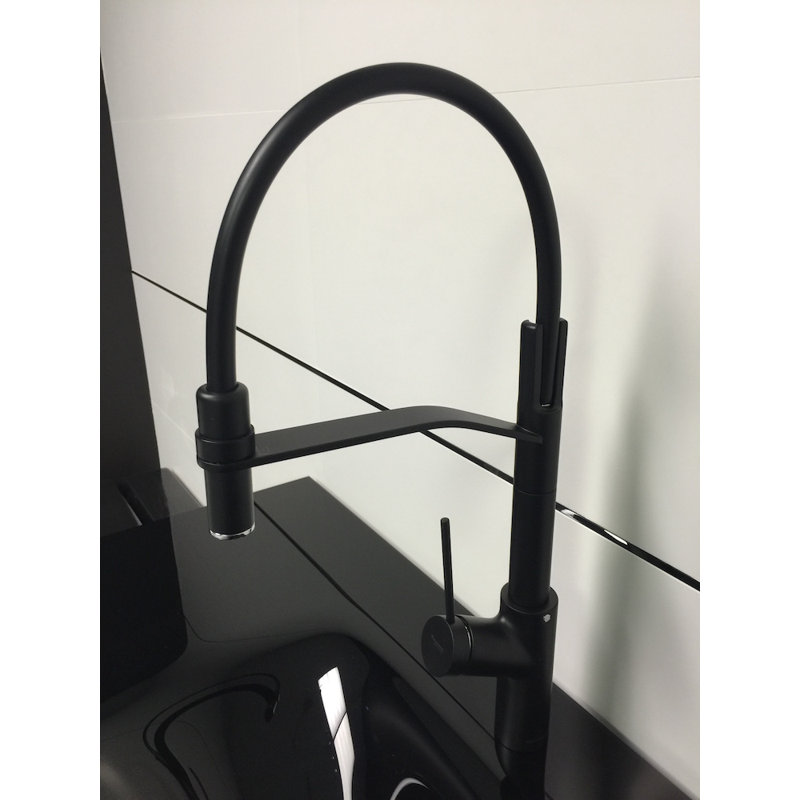 Elba Pro Mono Single Handle Kitchen Faucet