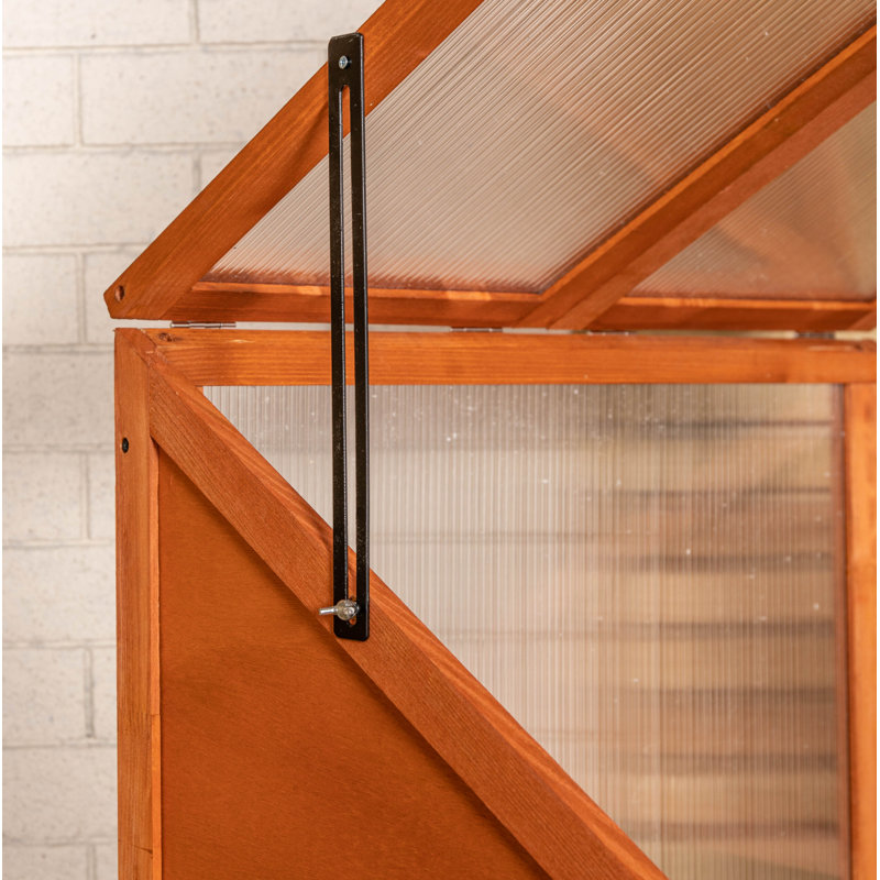 Samuel Alexander 2Ft. W x 2Ft. D Mini Greenhouse 