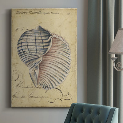 " Seashell Ephemera V "