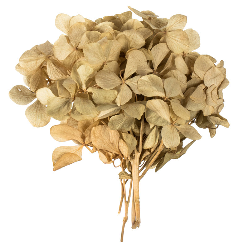Vickerman Hydrangea Centerpiece, Beige