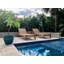 Maiorano Outdoor Teak Chaise Lounge