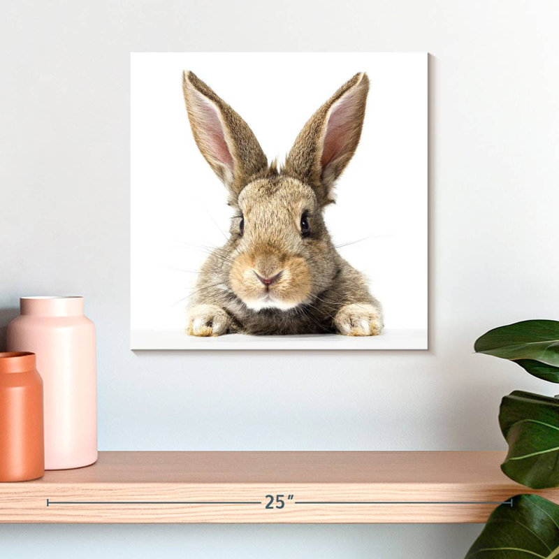 Crowle Fluffy Easter Rabbit, 16" H x 16" W