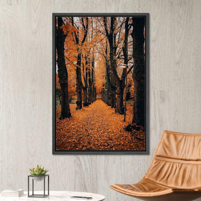 Autumn Fall " Orange Autumn Garden Path Nature Forest Trees "