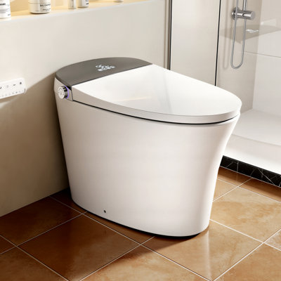 Rizzon 17.3" Comfort Chair Height Tankless Smart Toilet with Lady & Rear Wash, MAP 1000g Foot Kick Auto Flush, Heated Seat, Dryer,Soft Closing, Remote Control