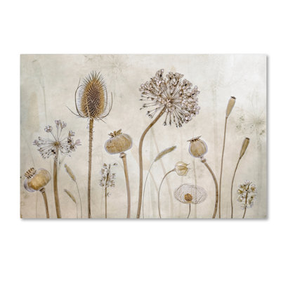 Art mural sur toile tendue - Mandy Disher «Growing Old», art mural pour salon, chambre à coucher ou bureau - 16 x 24