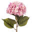Tige d'hortensia de 42 po-1510644046-1510644021