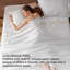 Draps de literie 500TC-110115471-110115473