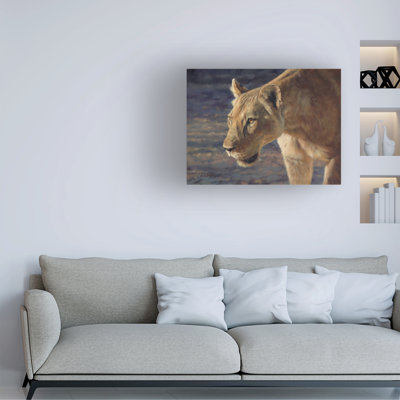 David Stribbling Lioness South Luangwa Canvas Art