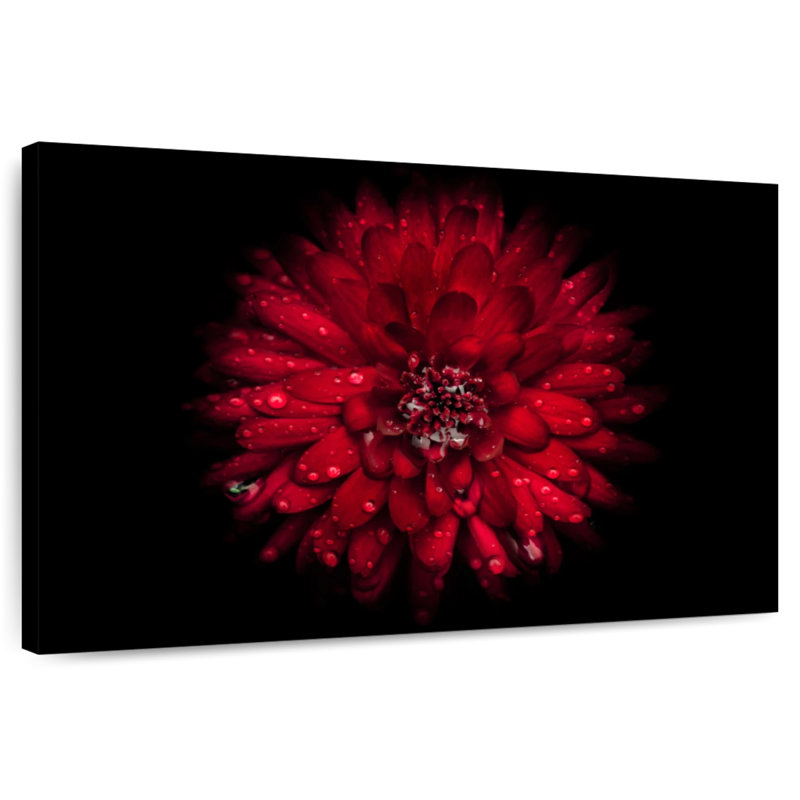 Fleurs de jardin colorées IV, H 16 po x l 24 po
