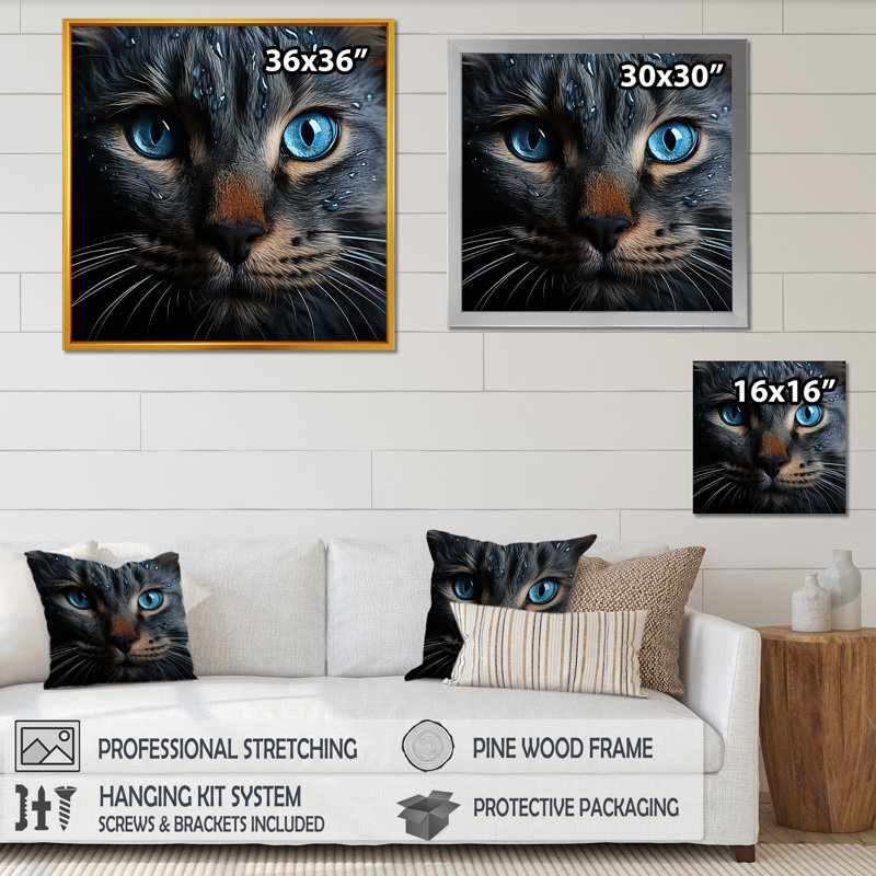 Chat, yeux bleus, chat, Cadre flottant blanc, H 16 po x l 16 po x P 1 po