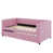 Rose est en rupture de stock