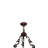 Alejah 6 - Light Steel Geometric Chandelier