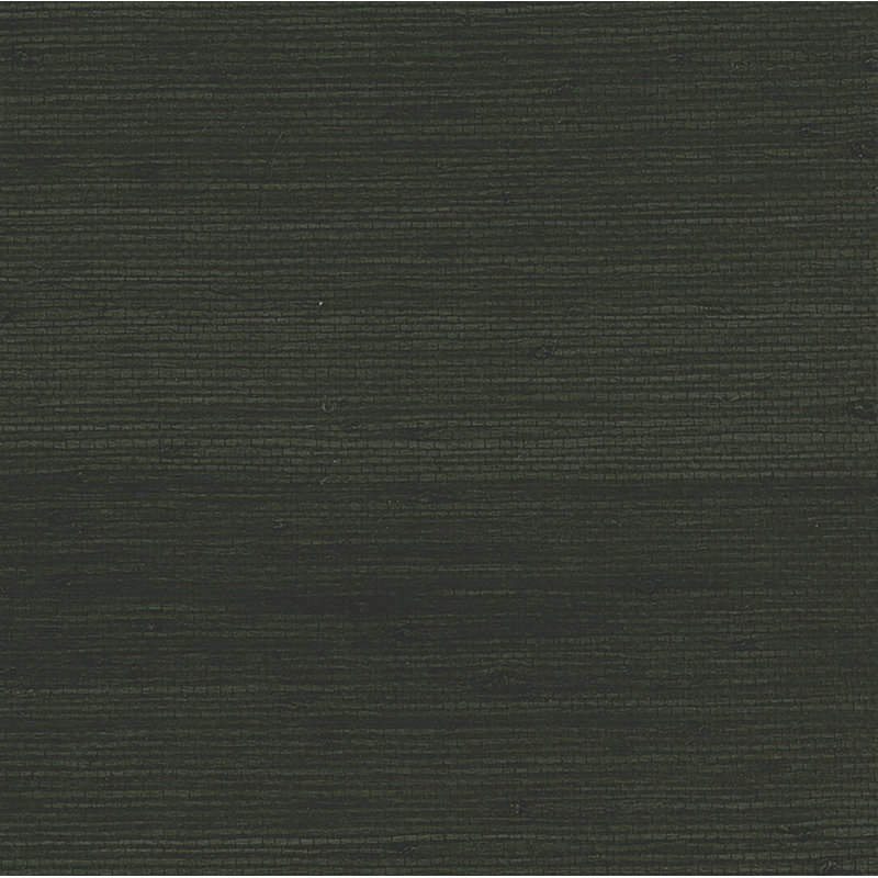 Rouleau de papier peint gaufré 3D L 24 pi x l 36 po Appling Jute, Noir