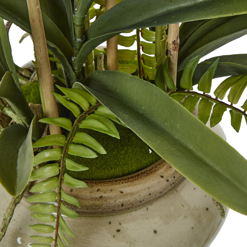 Arrangement in Pot
