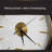 Minimalist Freestanding Pendulum Floor Clock with Tray