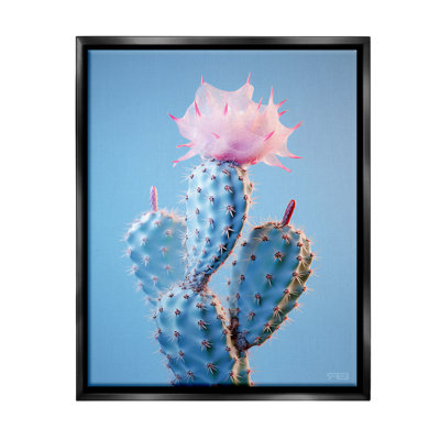 " Pink Budding Cactus Flowers " by RB