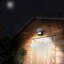 Flood Light