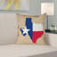 Housse de coussin/imprimé double face en faux suède pour coussin de texas pavillon-36950344-36950339-37737061