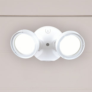LED Dusk to Dawn Flood Light (Pack of 2) (Set of 2)