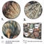 Seaside Seashells V sur toile-88541118-88541126