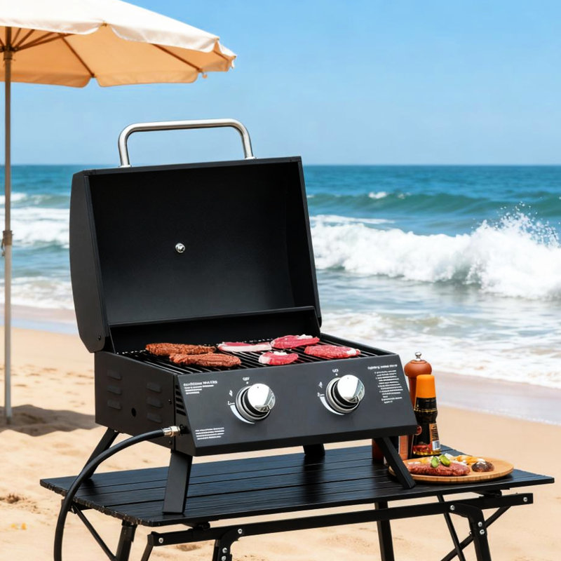 Barbecue de camping de 21,75 po avec 2 brûleurs, allumage, conception pliable, couvercle pour fumer, poignées froides au toucher, cendrier amovible, grille de brûleur portative en acier au carbone, pieds, thermomètre, idéal pour l'extérieur