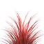Yucca artificiel en pot-88626081-125320798
