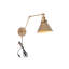 1-Light Cone Plug-In Swing Armed Sconce