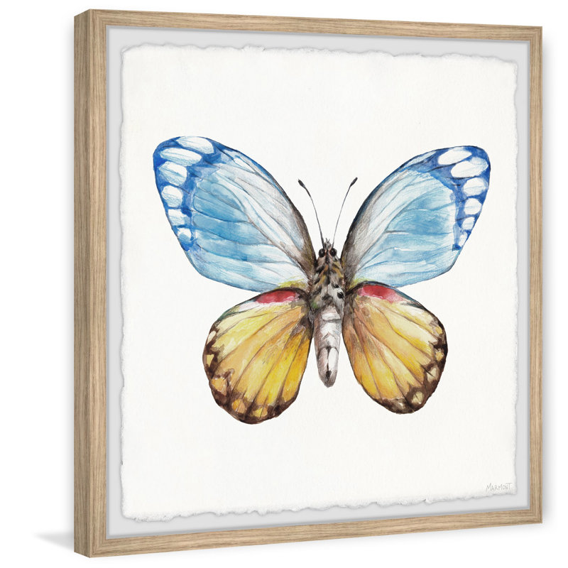 Butterfly Wings - Single Picture Frame Painting, 81cm H x 81cm W x 3.81cm D