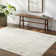 Ashmin Machine Woven Polyester Area Rug in Cream/Gray