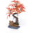  Aquarium Accessory