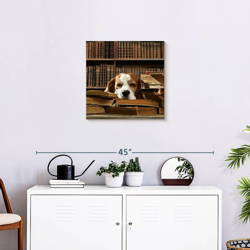 Chien et livres Brampt, H 20 po x l 20 po